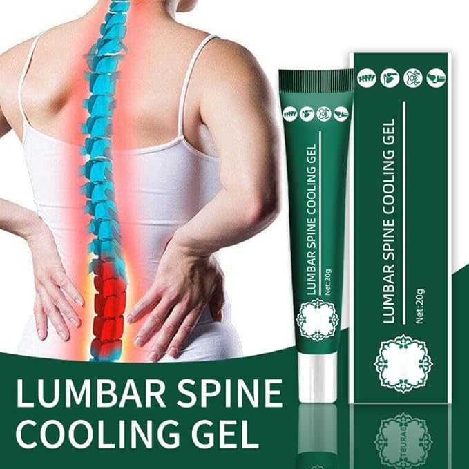 Lumbar Type Cold Compress Gel 4Pcs